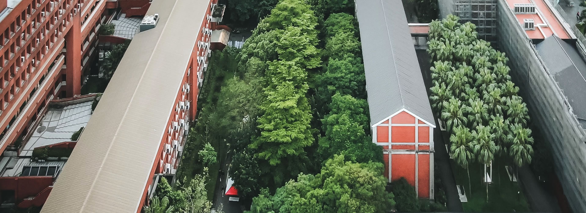 臺師大QS學科排名亮眼